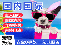 且末玉都空运公司国际宠物托运 【国